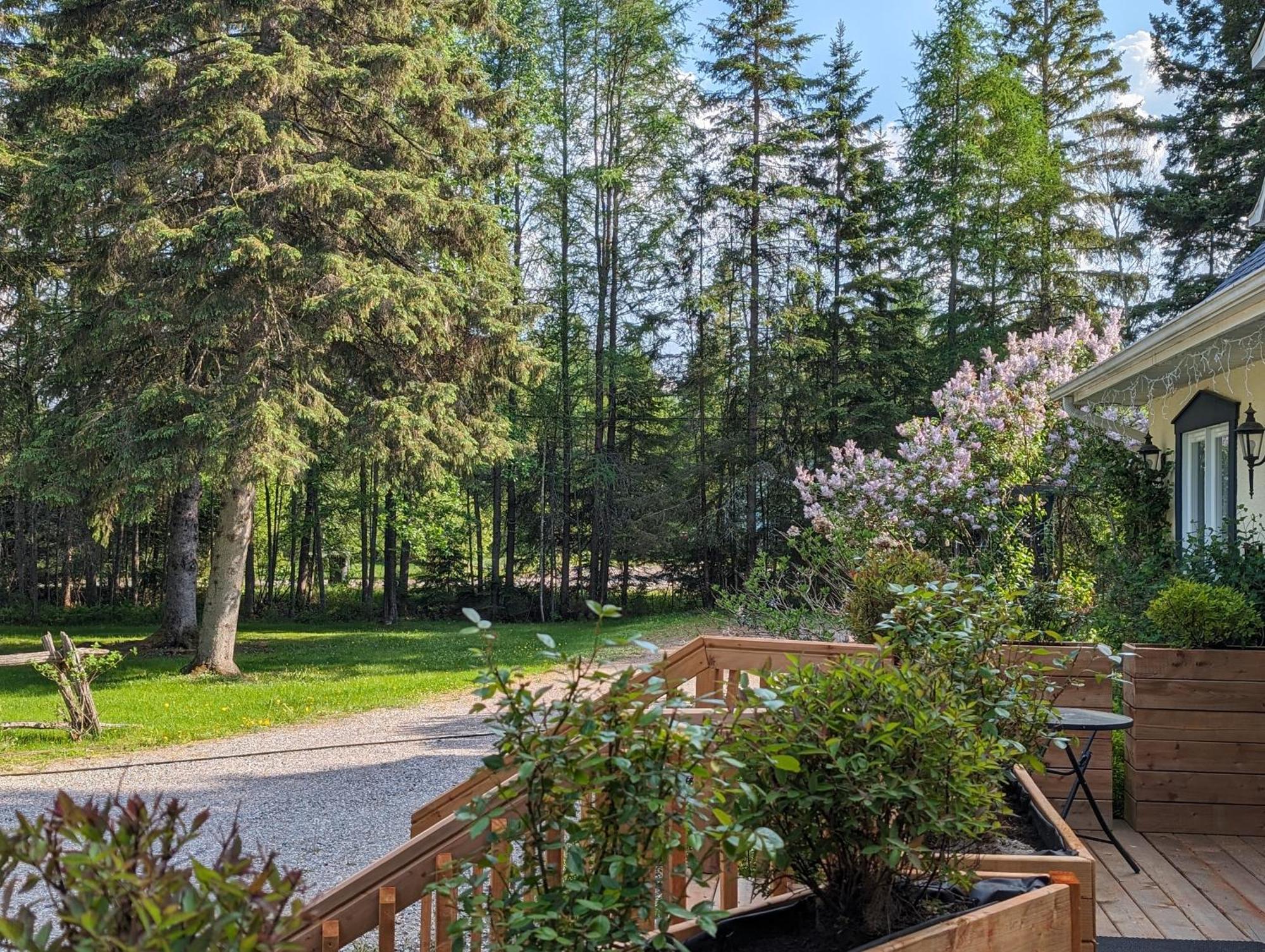 La Tremblante Bed & Breakfast Mont-Tremblant Luaran gambar