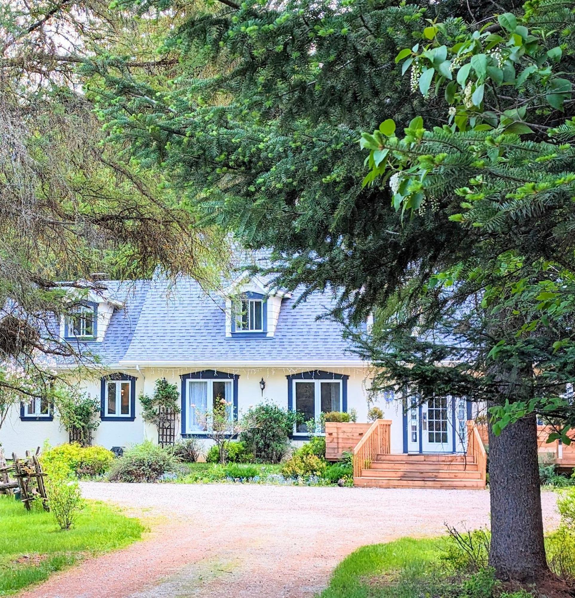 La Tremblante Bed & Breakfast Mont-Tremblant Luaran gambar