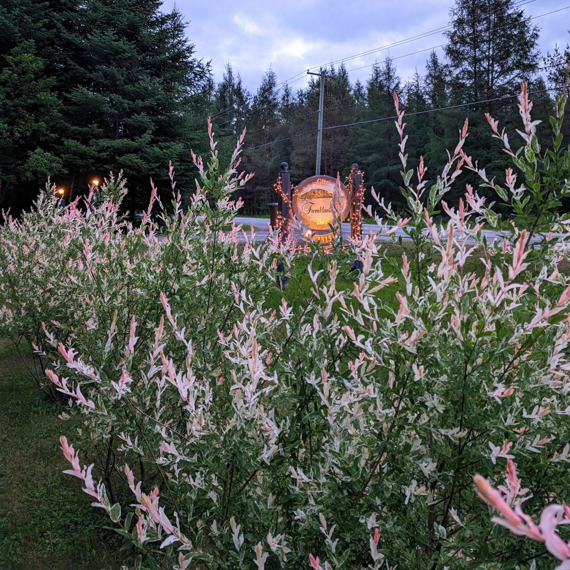 La Tremblante Bed & Breakfast Mont-Tremblant Luaran gambar