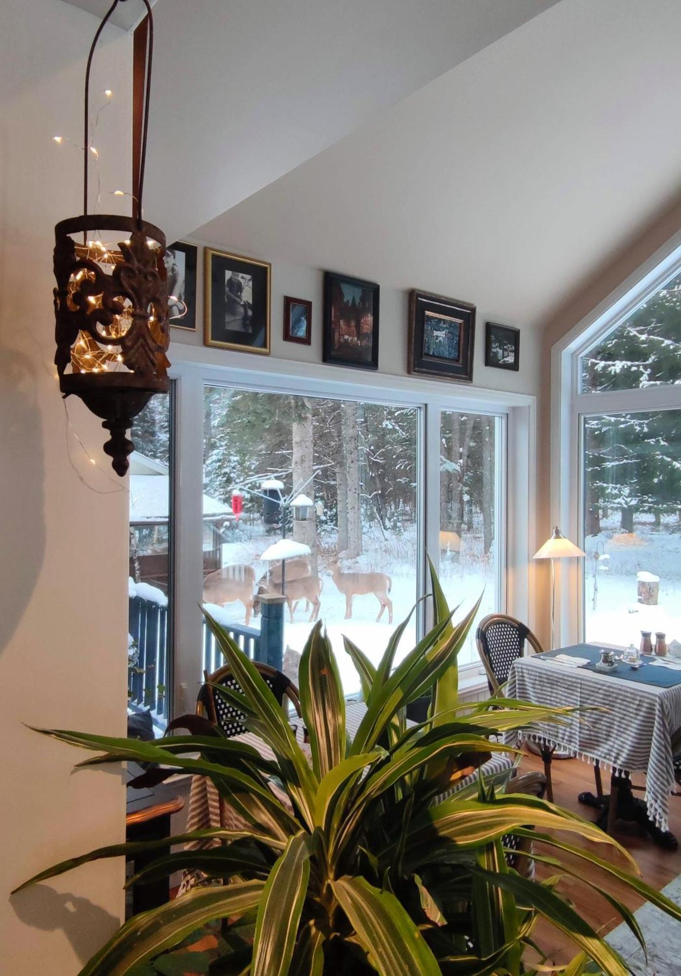 La Tremblante Bed & Breakfast Mont-Tremblant Luaran gambar
