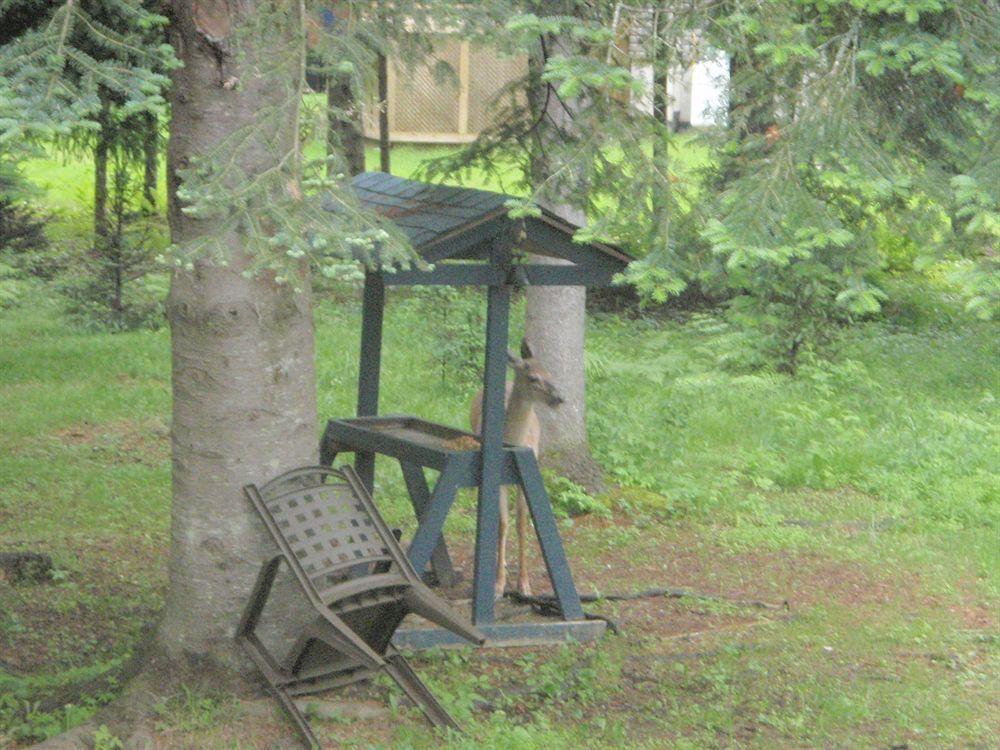 La Tremblante Bed & Breakfast Mont-Tremblant Luaran gambar